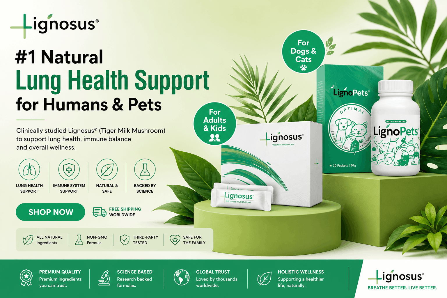 Breathe Deeply: The Ultimate Lignosus Organic Respiratory Health Guide
