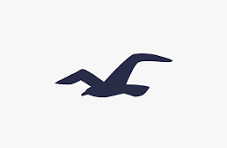 Hollister
