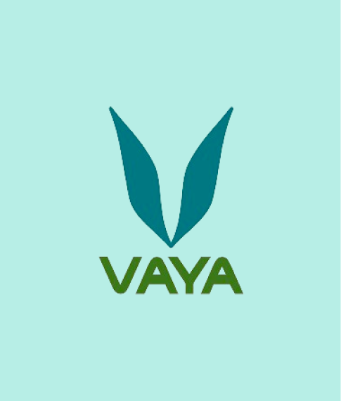 Vaya